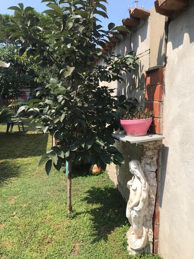 Mirella'S House Viaverona Ardea Exterior photo